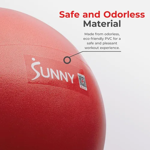 Miniatura 5 de Sunny Health & Fitness Pelota de ejercicio antiestallidos de alta calidad para fuerza central, yoga, pilates, barra, terapia física, equilibrio