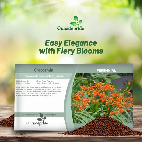Miniatura 4 de Outsidepride Semillas de Crocosmia – 100 unidades. Semillas perennes, resistentes y fáciles de cultivar, semillas de flores para plantar flores