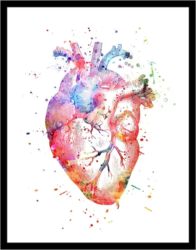 ZEARPT Impresión de Arte de Pared de Corazón Anatómico en Acuarela, Póster de Ilustración de Corazón de Anatomía Vintage, Decoración Moderna de