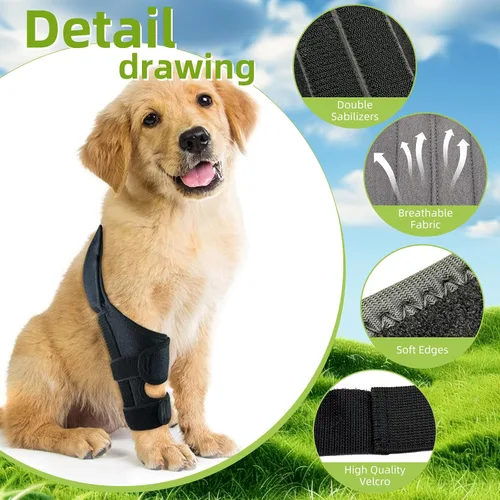 Miniatura 5 de Rodillera para perro para pierna trasera desgarrada del ligamento cruzado anterior, envoltura trasera ajustable para recuperación y prevención