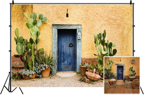 Leyiyi Fondo de fotografía de 5 x 3 pies, diseño de cactus de México, edificio occidental, planta del desierto, Saguaro, grunge, piedra, pared,