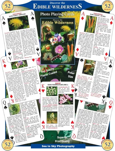 SEA and SKY Descubre las cartas comestibles de Wilderness