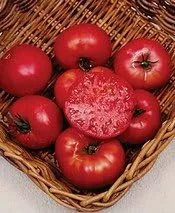 Miniatura 2 de Levantador de hipotecas de tomate, gran herencia vegetal de jardín de Seed Kingdom a granel de 1 onza