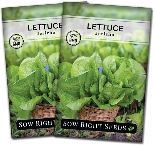 Miniatura 7 de Sow Right Seeds - Semillas de lechuga Jericho para plantar - Paquete de reliquia sin OMG con instrucciones para plantar un huerto doméstico - Al