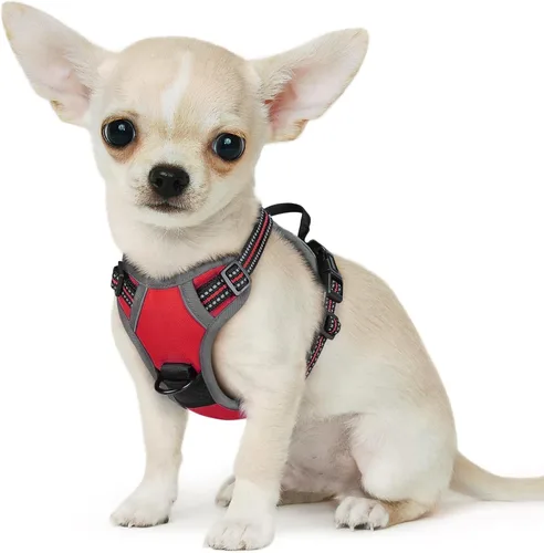 Miniatura 61 de Eagloo Arnés para perro pequeño, sin tirones, chaleco de servicio con tiras reflectantes y asa de control, ajustable y cómodo para caminar, arnés