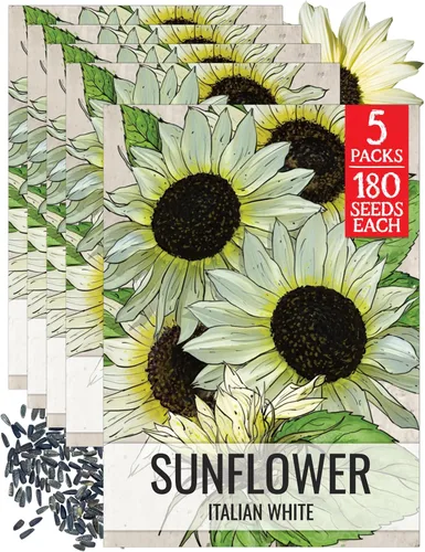 Miniatura 24 de Seed Needs Semillas de girasol para plantar girasoles de manchas solares enanas, semillas de flores de corte anual de polinización abierta