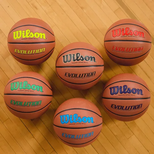Miniatura 4 de Wilson Balones de baloncesto Evolution Marrón - Pelota de juego