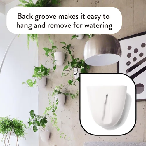 Miniatura 4 de Make Good PlantPod Luxe - Macetas de pared con riego automático (juego de 3, verde bosque), fáciles de regar e instalar, ligeras, diseña tu propio