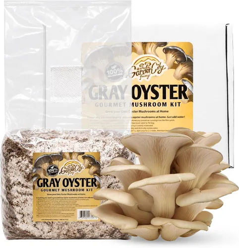 Miniatura 5 de Kit de hongos gourmet de melena de león - Bolsa de cultivo para hongos - Cultiva hongos melena de león premium en casa - Deliciosos y 100% naturales