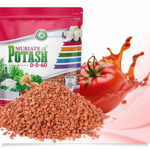 Miniatura 2 de Muriate de potasa 0-0-60 Fertilizante hecho en EE. UU. - MOP Alimento de potasio para plantas y jardines de flores – ¡Promueve grandes flores!