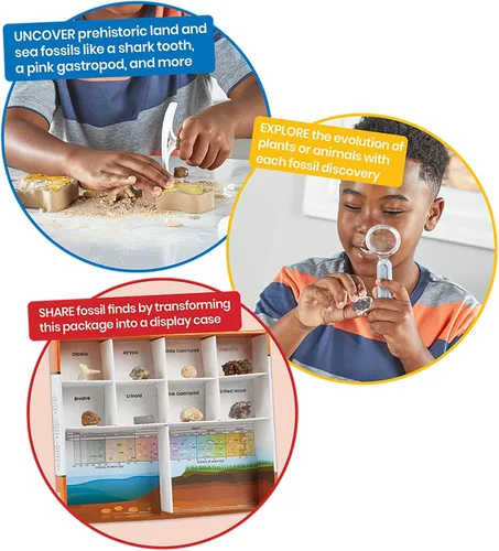 Miniatura 4 de hand2mind - Kit de excavación de fósiles para excavar y exhibir, vitrina de fósiles, 8 fósiles reales para descubrir, kits de excavación para niños