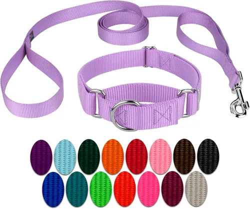 Miniatura 17 de Country Brook Petz - Collar para perro de nailon resistente Martingala azul hielo y correa de doble asa (1 pulgada, grande)