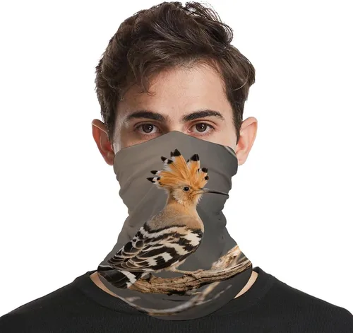 Miniatura 4 de Hoopoe Neck Gaiter Breathable & Moisture-Wicking Face Mask Bandana Balaclava Sun Protection Face Cover Scarf Lightweight Seamless Design for Outdoor
