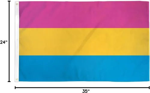 Miniatura 3 de AZ FLAG - Bandera pansexual - 2 x 3 pies - Cartel de pansexualidad de poliéster 100D con dos ojales metálicos - Resistente a la decoloración