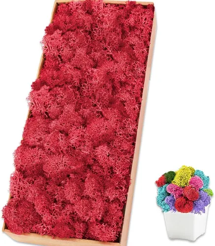 Miniatura 15 de Musgo de reno amarillo preservado de 3.5 onzas para plantas en maceta, decoración artesanal para arte de pared, musgo falso para decoración