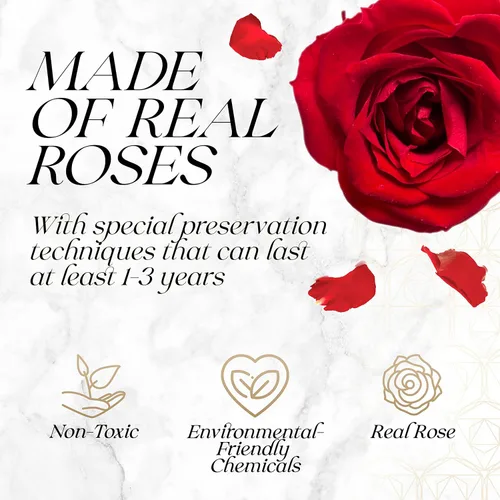 Miniatura 2 de GLAMOUR BOUTIQUE Rosas preservadas en una caja, regalos para ella, esposa y mamá, decoración de flores de rosas para regalo de cumpleaños, ramo