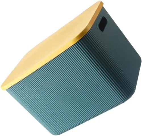 Ciieeo Contenedor organizador de plástico, 1 unidad, caja de almacenamiento a juego de colores, para ropa, caja azul, contenedores varios, caja de
