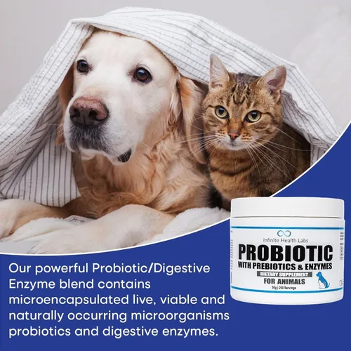 Miniatura 2 de Probióticos para perros y gatos – Formulado por veterinarios, fabricado en Estados Unidos, prebiótico y enzimático para mascotas en polvo
