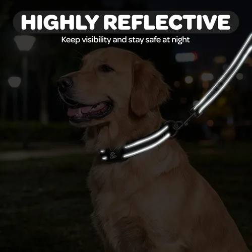 Miniatura 6 de FURRYFECTION Juego de collar y correa reflectante para perro con hebilla de liberación rápida, acolchado con collar de nailon ajustable de neopreno