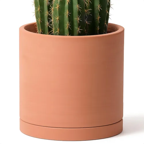 Miniatura 8 de D'vine Dev Maceta de Terracota Extra Pequeña de 4 Pulgadas con Orificio de Drenaje y Platillo, Maceta Cilíndrica Redonda para Plantas