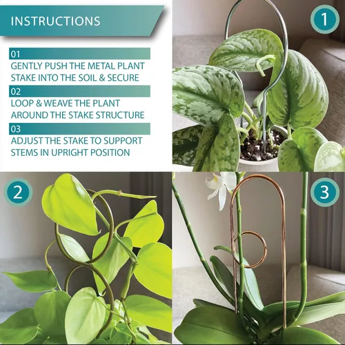 Miniatura 5 de Pequeño enrejado de metal para plantas de interior, estacas de metal para plantas trepadoras, soporte para plantas en maceta, orquídeas, Monstera