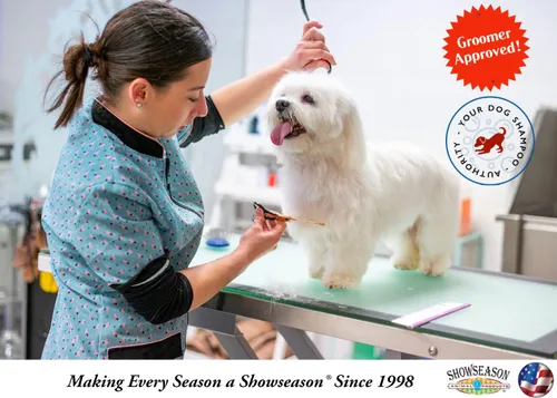 Miniatura 4 de ShowSeason - Champú para aliviar la picazón para perros y gatos, 1 galón, antiséptico, enfría la piel roja e inflamada, fabricado en Estados Unidos