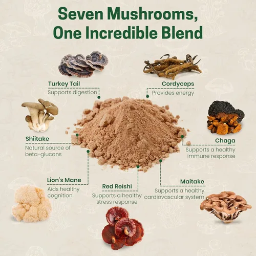 Miniatura 5 de Z Natural Foods Mezcla orgánica de 7 hongos sagrados, polvo de hongos, melena de león, cordyceps, chaga, reishi rojo, shiitake, maitake y extracto
