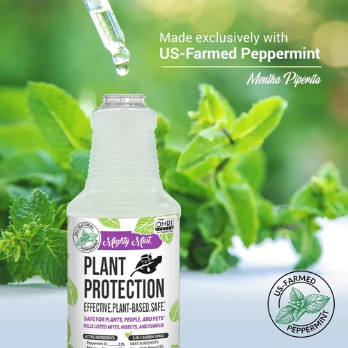 Miniatura 4 de Mighty Mint Spray de Protección de Plantas de Menta Piperita para Insectos, Mosquitos, Hongos, Ácaros y Enfermedades, 16 oz