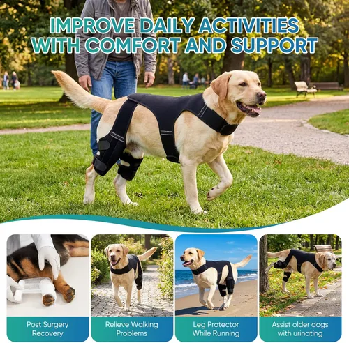Miniatura 7 de Rodillera para perro para pierna trasera, pierna trasera, ACL, soporte ajustable para piernas de perro doble con estabilizadores, ayuda con desgarro