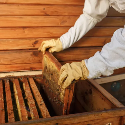 Miniatura 6 de HARFINGTON Traje de abeja para hombres y mujeres, L trajes de apicultura con guante y velo capucha, trajes de abeja para hombres, a prueba de patio