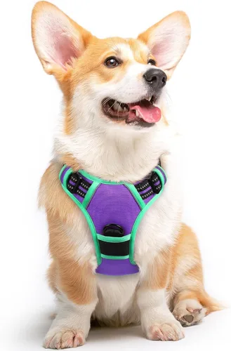 Miniatura 64 de Eagloo Arnés para perro pequeño, sin tirones, chaleco de servicio con tiras reflectantes y asa de control, ajustable y cómodo para caminar, arnés