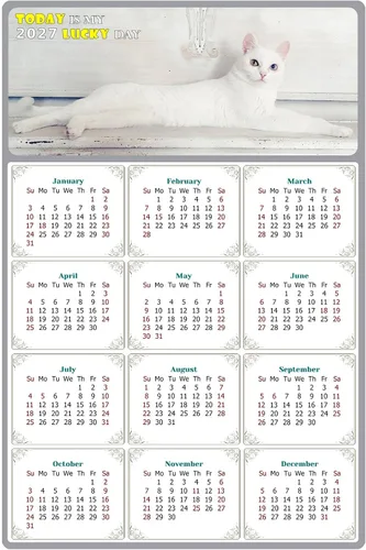 Calendario magnético 2025 – Imanes del calendario – Today is my Lucky Day – Resistente a la decoloración, desgarros y agua – Temática de gato 06