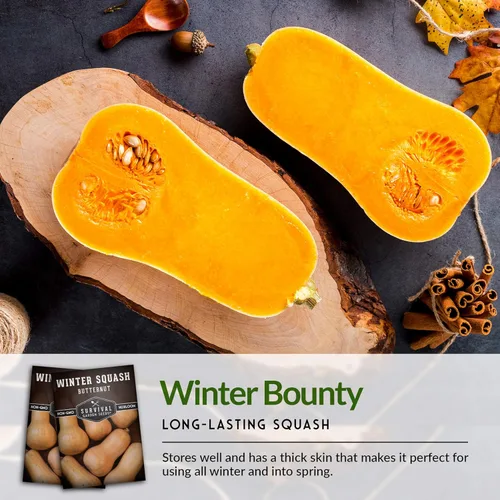 Miniatura 6 de Semillas de calabaza Butternut para plantar - Semillas de vegetales tradicionales no transgénicos - Cultivo de alto rendimiento y fácil de cultivar