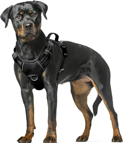 Miniatura 95 de BARKBAY Arnés para Perro Sin Tirones Talla Grande Arnés Reflectante para Perro con Clip Frontal y Asa de Control Fácil para Caminar Entrenar Correr