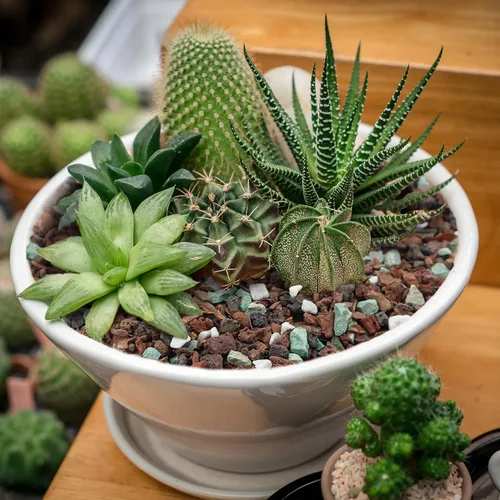 Miniatura 7 de Mezcla de suelo para bonsái de 2 cuartos, lava, corteza, roca volcánica, zeolita verde y perlita, mezcla orgánica natural para plantas en maceta