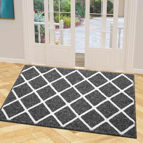 Miniatura 37 de Finchitty Alfombra para Puerta Interior, Resistente a la Suciedad y Absorbente, de Perfil Bajo, Antideslizante, Lavable, Alfombras de Piso