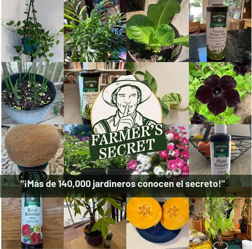Miniatura 5 de Farmer's Secret Potenciador de plantas (32 onzas), súper concentrado, fórmula de alto contenido de fósforo para plantas en etapa temprana, promueve