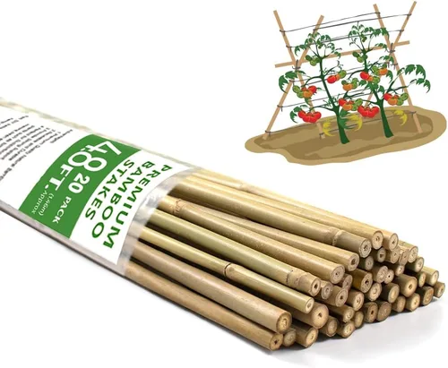 Miniatura 9 de BOVITRO - Estacas para plantas, palitos de bambú natural de jardín de 18 pulgadas, 20 estacas de apoyo para plantas de tomates, frijoles, vegetales