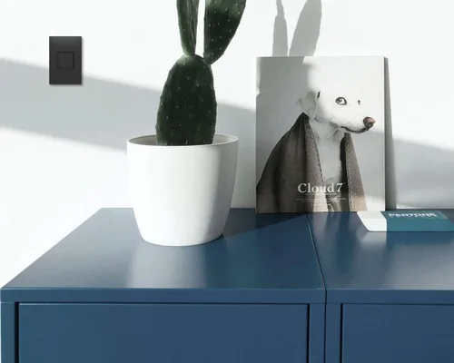 Miniatura 3 de Legrand adorne ARPTR151GG2WP - Toma de corriente emergente de 1 banda de 15 amperios en grafito con placa de pared a juego, ARPTR151GG2WP