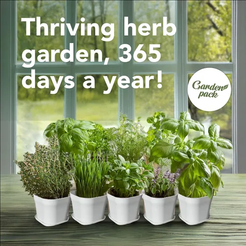 Miniatura 5 de Garden Pack Jardín de hierbas para ventana interior de 10 hierbas, incluye macetas, bandejas y tierra comprimida para un fácil cultivo de hierbas