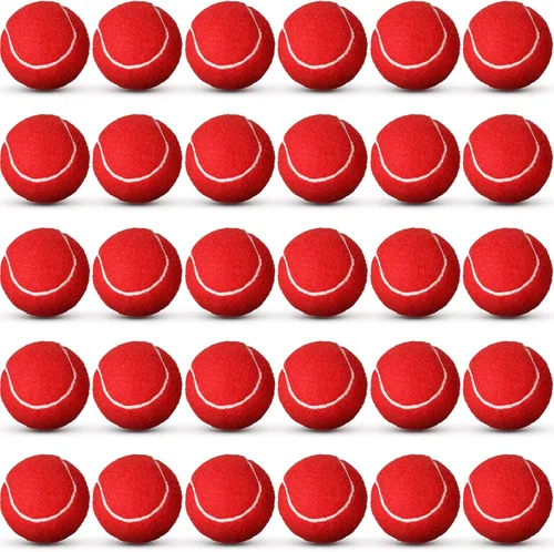 Vinsot Paquete de 24 pelotas de tenis a granel, pelotas de presión estándar para entrenar jugadores principiantes jóvenes, pelota de ejercicio para