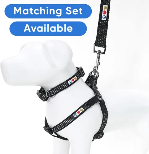 Miniatura 6 de Collar de entrenamiento reflectante para perros, de la marca Pawtitas, Negro