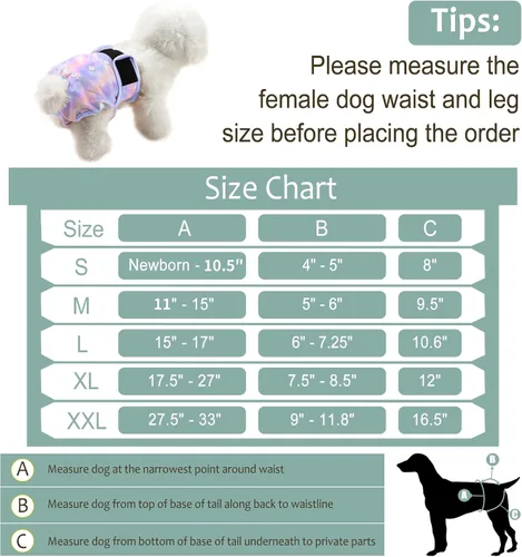 Miniatura 10 de Pañales lavables para perros, para hembras caninas, reutilizables, para periodo de celo, altamente absorbentes, para incontinencia, con broches