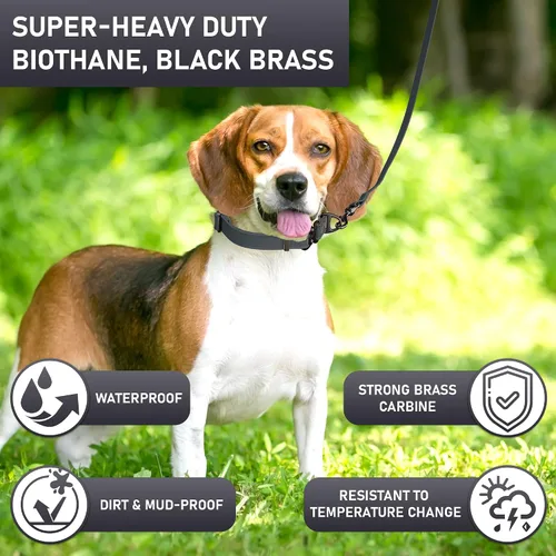 Miniatura 3 de Biothane - Correa para perro extra resistente, fabricada en Estados Unidos, correas impermeables para perros grandes, medianos y pequeños, correa