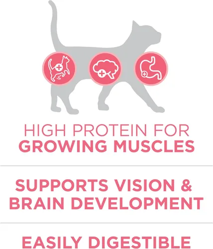 Miniatura 4 de Purina ONE Alimento seco natural para gatitos con alto contenido en proteínas, fórmula para gatitos +Plus saludable - Bolsa de 7 libras