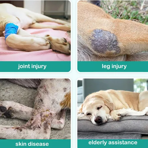 Miniatura 5 de Soporte de pierna de perro para tobillo trasero, soporte de acl para perro para soporte carpiano, manga de pierna de perro para soporte carpiano