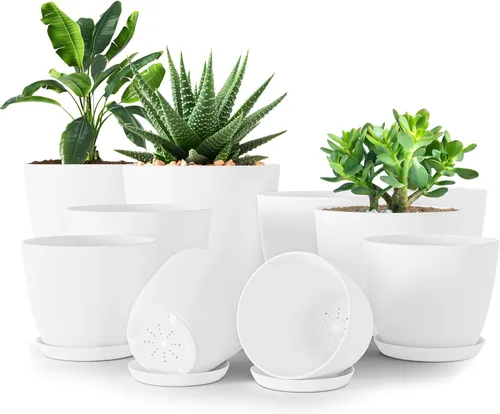 Miniatura 18 de Utopia Home - Macetas de Interior con Drenaje - Macetas de Flores de 7/6.6/6/5.3/4.8 Pulgadas para Plantas de Interior - Juego de 5 Macetas