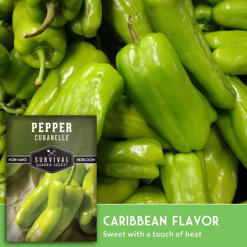 Miniatura 4 de Cubanelle - Semillas de pimiento para plantar – Pimientos dulces italianos y caribeños (Aji Cubanela) – Variedad reliquia suave de pared fina sin