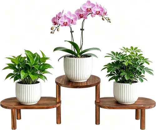 Miniatura 8 de Estante de plantas cóncavo de interior, soporte de plantas ovalado deformable de 3 niveles, soporte largo para macetas para múltiples plantas