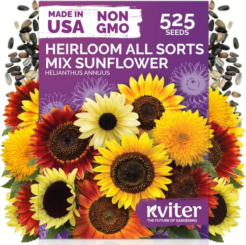 Miniatura 30 de KVITER 1600 semillas de pensamiento de los gigantes suizos para plantar (Viola wittrockiana) - Paquetes de semillas de colores mixtos Flores